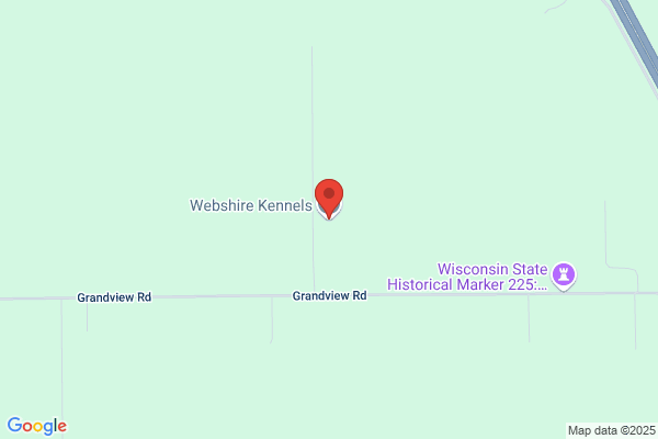 Webshire Kennels