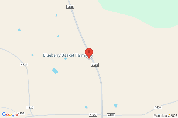 Blueberry Basket Farm