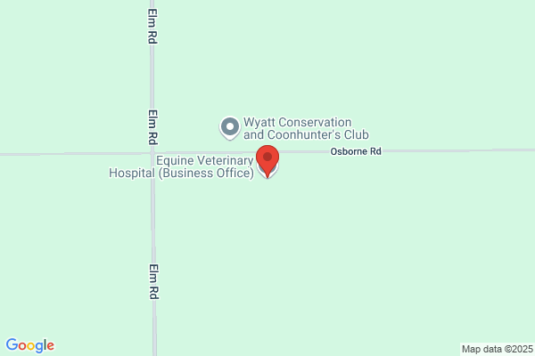 Indiana Equine Veterinary Service