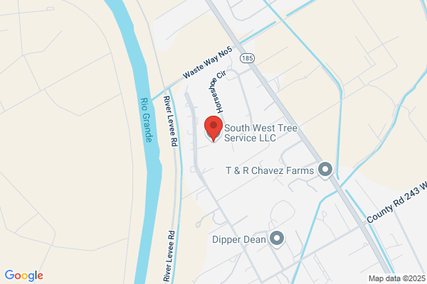 Northwestern Tree Arborist