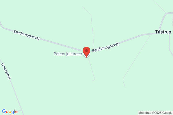 Dom Peter Stege