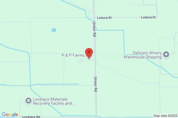 P & P Farms