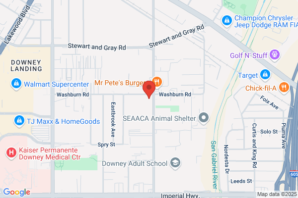 Ardina Insurance Services