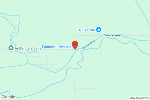 Panoche Livestock Co Inc