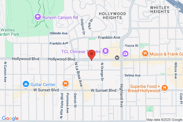 Hollywood Liquors