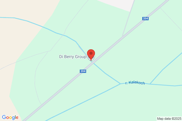 deberi group, llc.