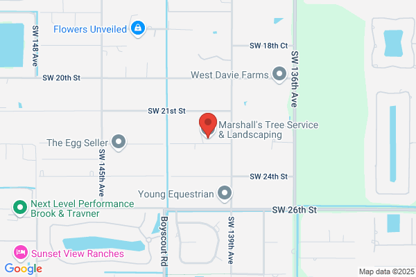 Marshall’s Tree Service And Landscaping