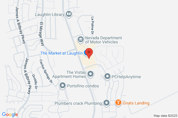 Electric Companies, Nevada Power Company