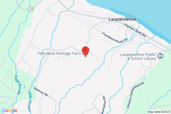 Hamakua Mushrooms