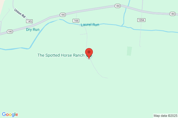 Solt Spotted Horse Recreation