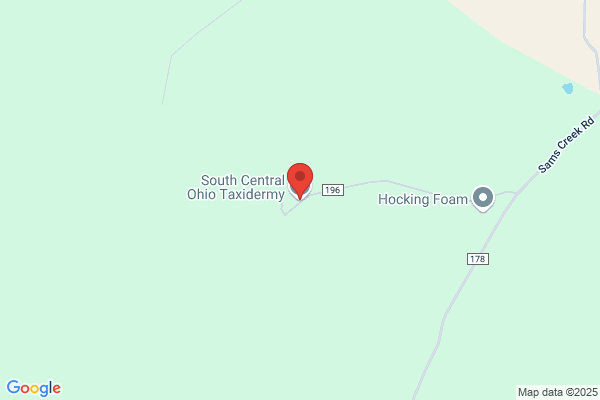 South Central Ohio Taxidermy