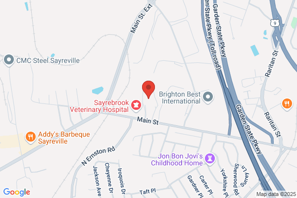 Sayreville Borough of Police