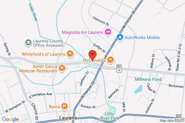 Napa Auto Parts-Laurens