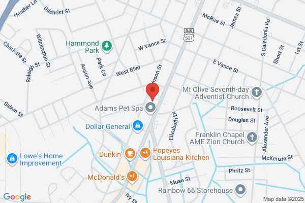 Laurinburg & Southern Railroad Co, Freight Agent