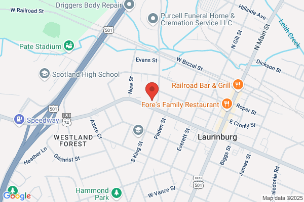 Promised Land Family Services