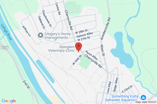 Stanglein Veterinary Clinic