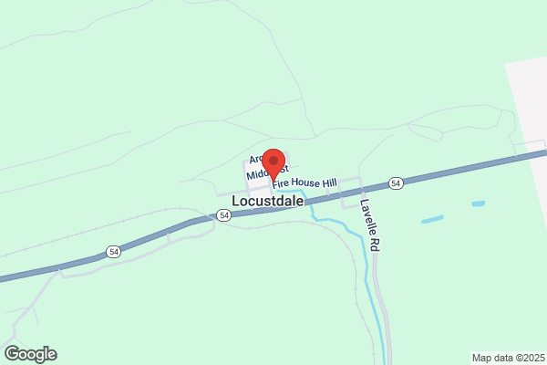 Locustdale Fire Co