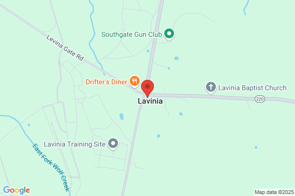 Lavinia Electronics