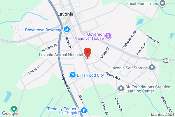 Lavonia Animal Hosp
