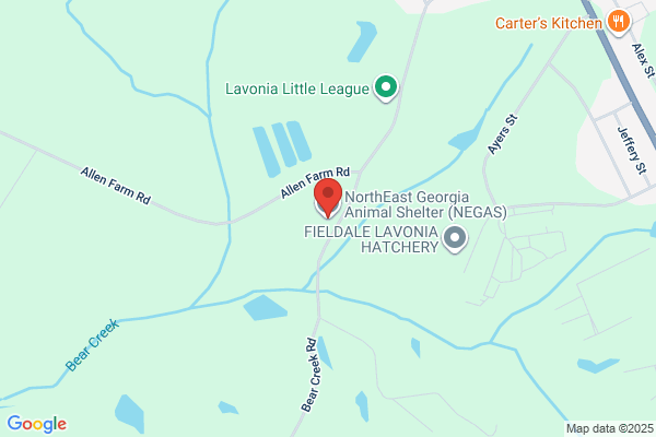 North East Georgia Animal Shelter