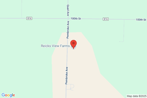 Reicks View Farms