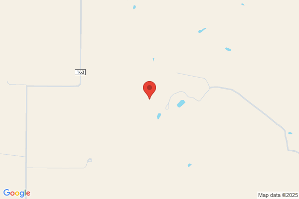 Ronnie's Cabin