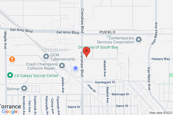 Premier Personnel Services Inc