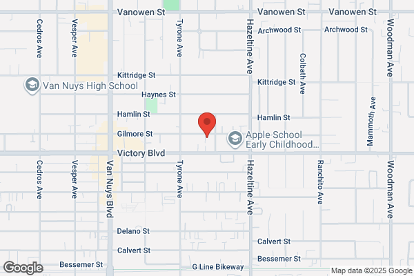 Diamond Cleaning Service
