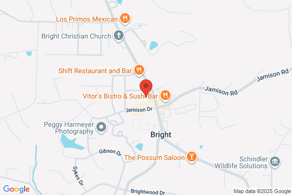 Bright Dental