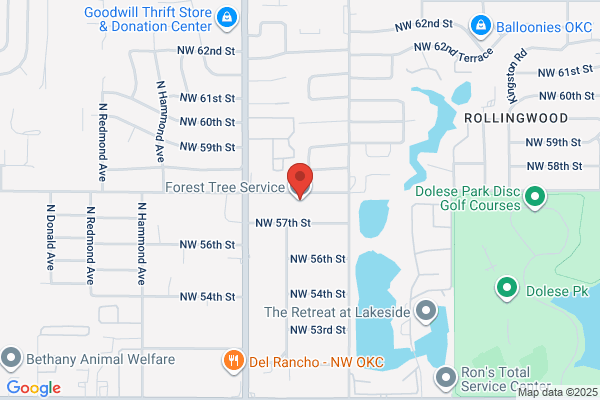 Forest Tree Service the