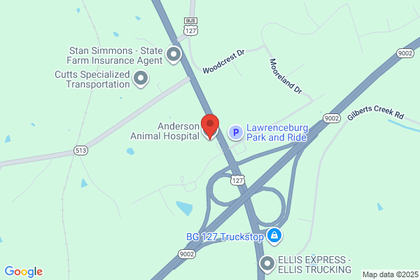 Anderson Animal Hospital