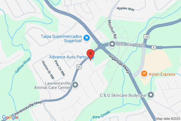 Advance Auto Parts