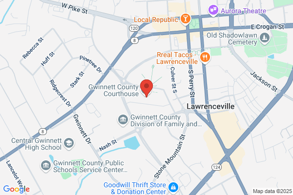 Gwinnett County Government, Financial Services
