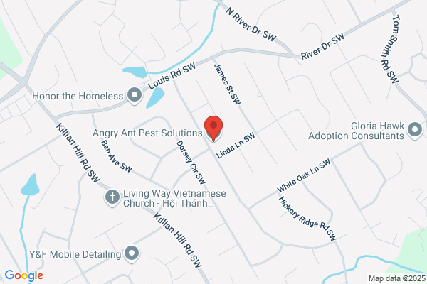 Angry Ant Pest Solutions