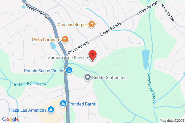 Zamora Tree Service