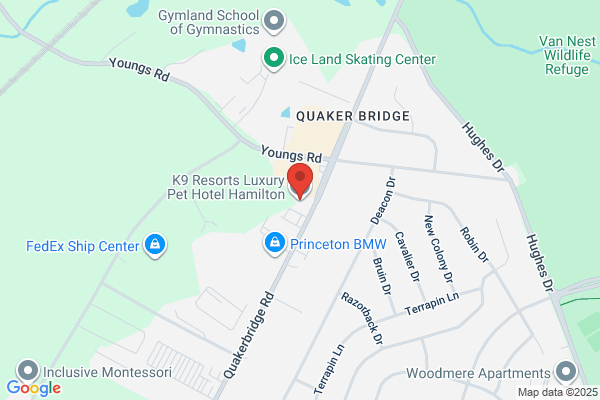 K9 Resorts Luxury Pet Hotel Hamilton