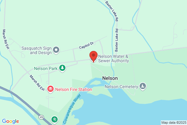 Nelson Township Water & Sewer Authority
