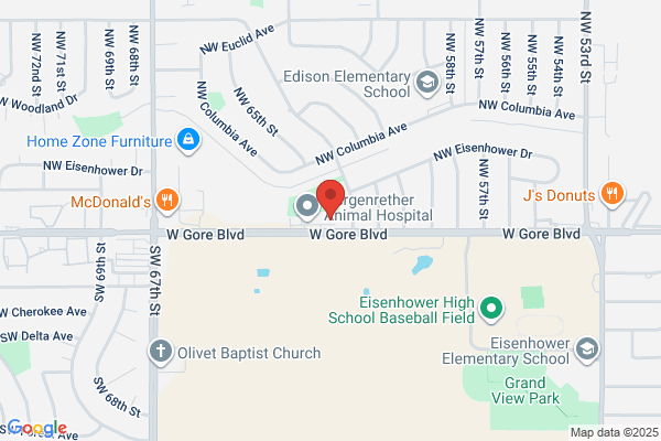 Eagle Systems & Services Inc