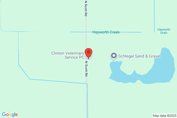 Cotten Clinton DVM