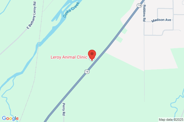 Leroy Animal Clinic
