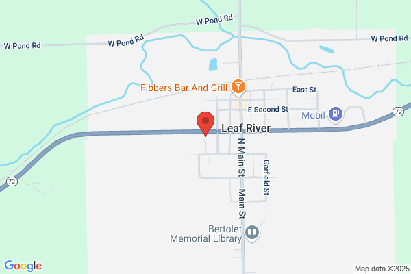 Fire, Leaf River