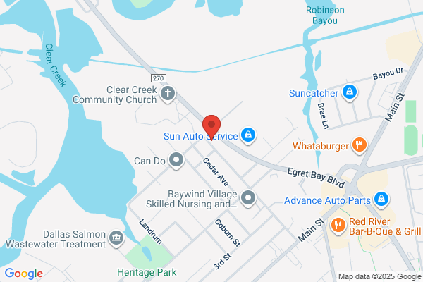 Raynor Computer Services Inc