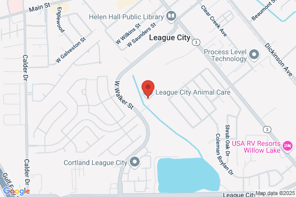 Clear Lake Rescue