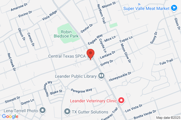 Central Texas Spca