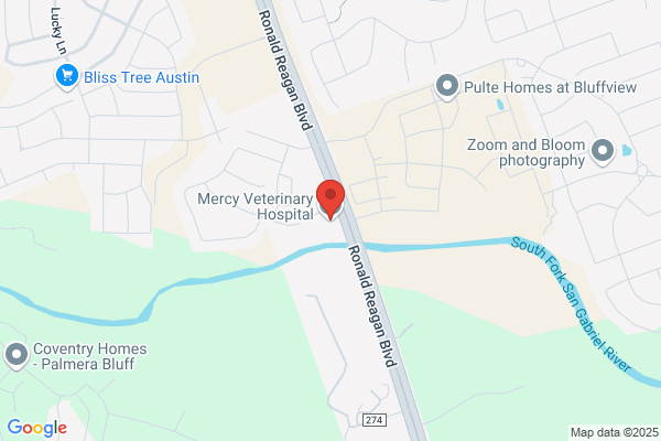 Mercy Veterinary Hospital