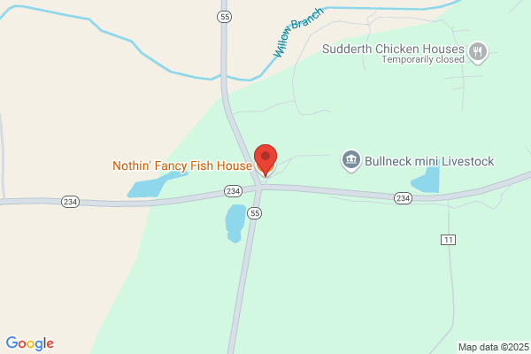 Nothing Fancy Catfish House
