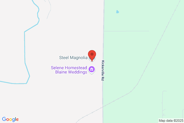 Steel Magnolia the