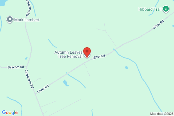 Autumn Leaves Tree Removal, LLC