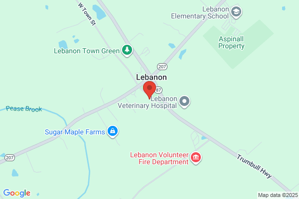 Lebanon Ink Shoppe