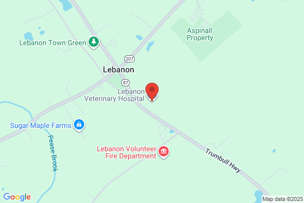 Lebanon Veterinary Hospital